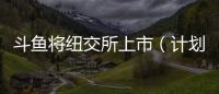 斗魚將紐交所上市（計劃最高融資5億美元）