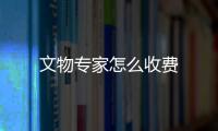 文物專家怎么收費(fèi)