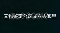 文物鑒定公司成立去哪里注冊