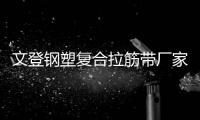 文登鋼塑復(fù)合拉筋帶廠家采購(gòu)供應(yīng)
