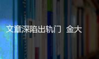 文章深陷出軌門  金大洲拋危機營銷扭困局【綜合】風尚中國網