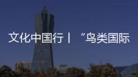 文化中國行丨“鳥類國際機(jī)場”列入世界自然遺產(chǎn)，探訪黃河口候鳥棲息地