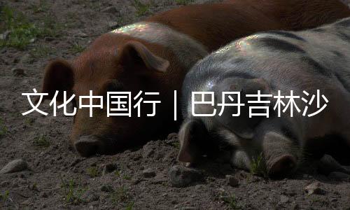 文化中國行｜巴丹吉林沙漠列入世界遺產名錄的背后
