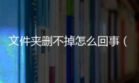 文件夾刪不掉怎么回事（有些文件夾刪不掉）