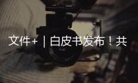 文件+｜白皮書發布！共建“一帶一路”為世界注入正能量
