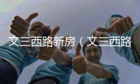 文三西路新房（文三西路二手房）