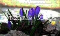 文書鑒定規范（文書鑒定）