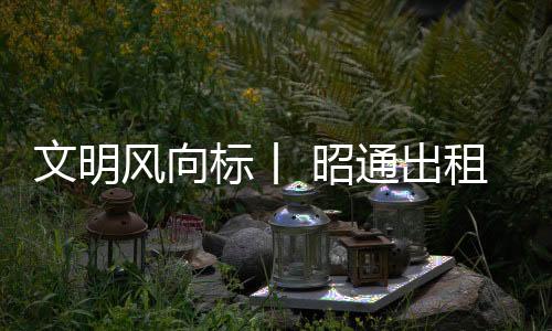 文明風向標丨 昭通出租車司機呂道桂助遺落手機“尋親”