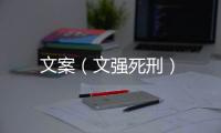 文案（文強死刑）