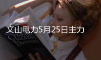 文山電力5月25日主力資金凈買入4139.40萬元