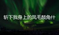 斬下我身上的鳳毛麟角什么意思（鳳毛麟角什么意思）