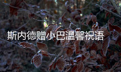 斯內德贈小巴溫馨祝語 卡薩諾談轉會贊國米強大