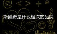 斯凱奇是什么檔次的品牌（斯凱奇是哪個國家的品牌）