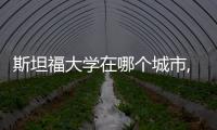 斯坦福大學在哪個城市,斯坦福大學