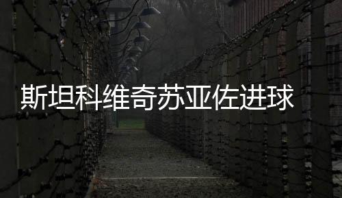 斯坦科維奇蘇亞佐進球 國際米蘭2