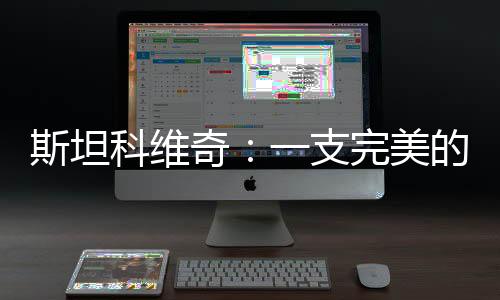 斯坦科維奇：一支完美的國(guó)際米蘭隊(duì)