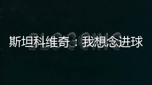 斯坦科維奇：我想念進(jìn)球……