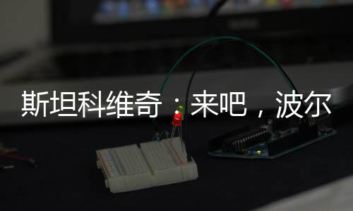 斯坦科維奇：來吧，波爾圖