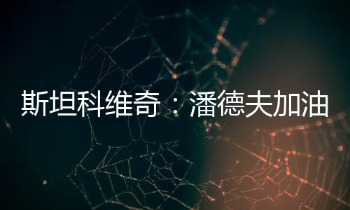 斯坦科維奇：潘德夫加油，我們和你在一起