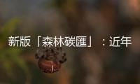 新版「森林碳匯」：近年流行的「生物信用額度」是真有所本，還是炒作？