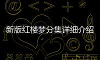 新版紅樓夢分集詳細介紹41