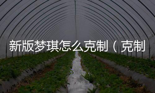 新版夢琪怎么克制（克制夢琪出什么裝）
