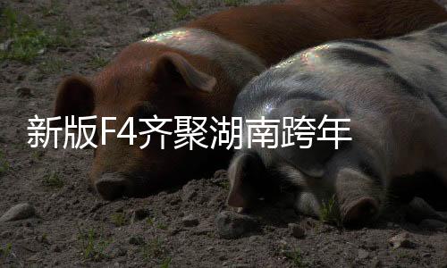 新版F4齊聚湖南跨年 蔡程昱彩虹合唱團有望演唱合作新歌