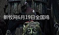新牧網(wǎng)6月19日全國(guó)雞價(jià)：江西雞價(jià)穩(wěn)中有跌
