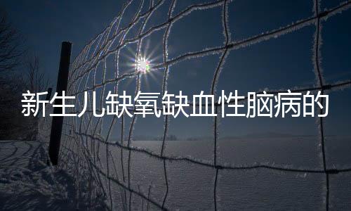 新生兒缺氧缺血性腦病的預防