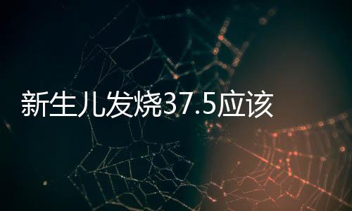 新生兒發燒37.5應該如何辦