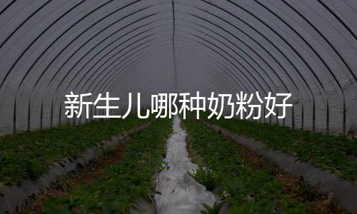 新生兒哪種奶粉好