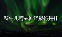新生兒臂叢神經損傷是什么