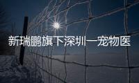 新瑞鵬旗下深圳一寵物醫院因使用過期疫苗被處罰