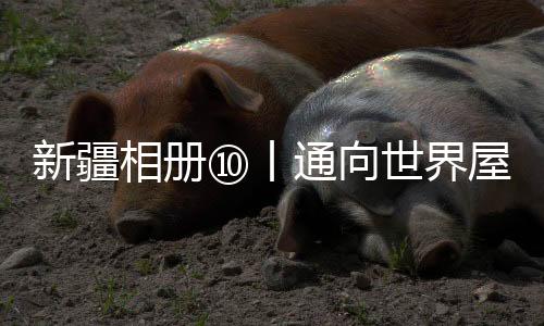 新疆相冊⑩丨通向世界屋脊的天路