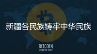 新疆各民族鑄牢中華民族共同體意識攜手建設美好新疆紀實