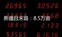 新疆且末縣：8.5萬畝“沙漠人參”喜獲豐收