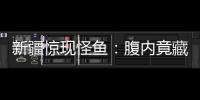 新疆驚現怪魚：腹內竟藏人臉！