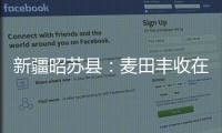 新疆昭蘇縣：麥田豐收在望 繪就立體“秋收畫卷”