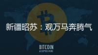 新疆昭蘇：觀萬馬奔騰氣勢如虹！