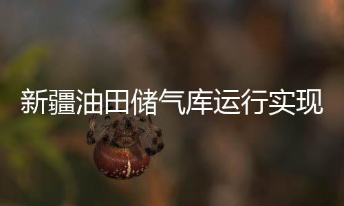 新疆油田儲氣庫運行實現智能監測