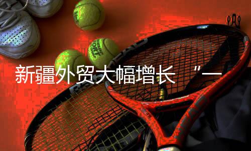 新疆外貿大幅增長 “一帶一路”紅利持續釋放