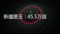 新疆墨玉：45.5萬畝冬小麥接續播種