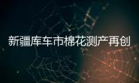 新疆庫車市棉花測產(chǎn)再創(chuàng)新高平均畝產(chǎn)600公斤以上