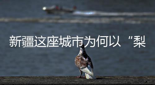 新疆這座城市為何以“梨”命名？