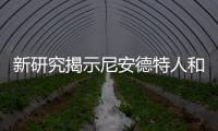 新研究揭示尼安德特人和舊石器時代人類的童年壓力