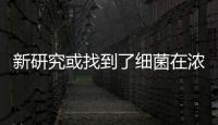 新研究或找到了細(xì)菌在濃稠溶液中游泳速度更快的原因