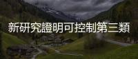 新研究證明可控制第三類新型磁性，有望提高電子設備速度千倍