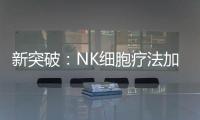 新突破：NK細胞療法加入臨床抗癌行列