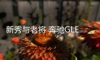 新秀與老將 奔馳GLE對比路虎攬勝星脈