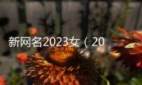 新網名2023女（2023最火的昵稱女）